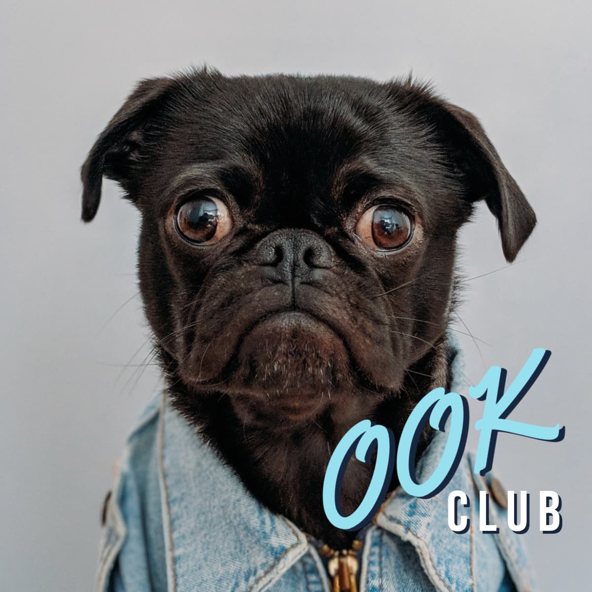 Logotipo de marca para Animales - Identidad OOK.es